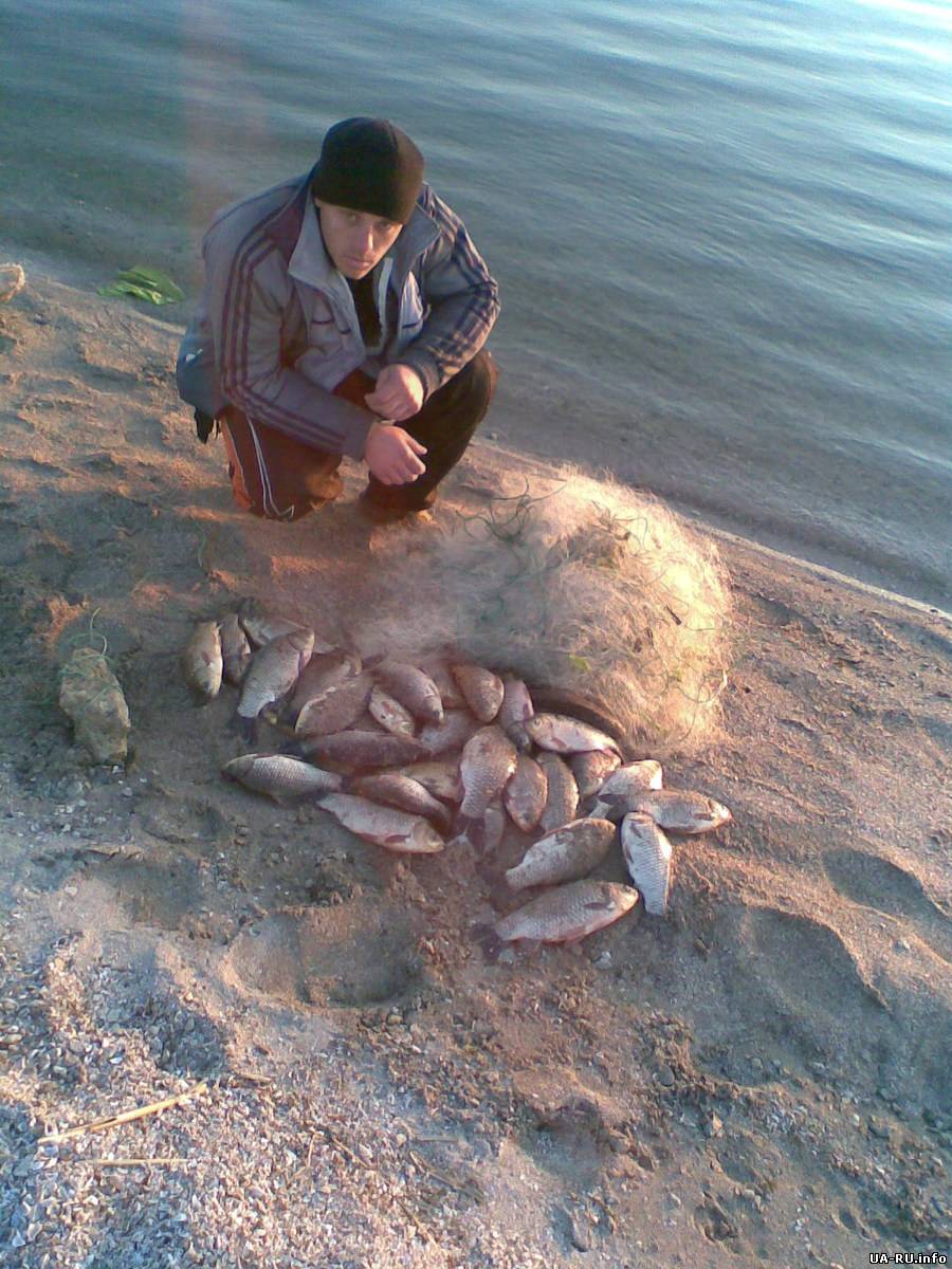 На Азовском море трое браконьеров нанесли ущерб на сумму свыше 400 тыс. грн