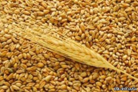 В 2013 году Украина экспортировала 18,5 млн тонн зерна нового урожая