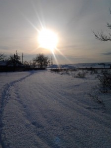 Обстановка в Луганской области (14.01.15) обновляется — 7:30