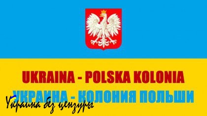 Заберёт ли Польша у Украины три области за долги по реституции?