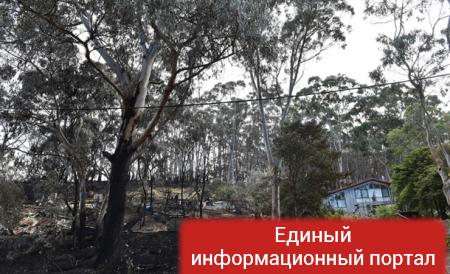 Пожары в Австралии: эвакуированы сотни человек