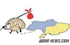 Украинская разведка нашла российское зомбирующее устройство (ВИДЕО)