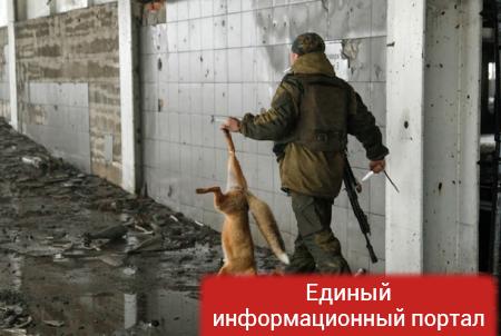 Голодающая Савченко и лисы в ДАПе: фото дня