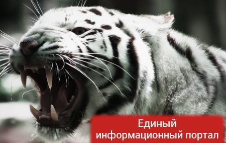 В США тигр загрыз насмерть смотрительницу зоопарка