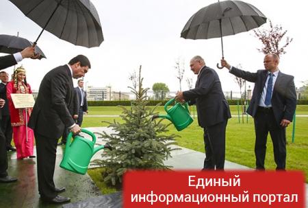Лукашенко полил ель под дождем
