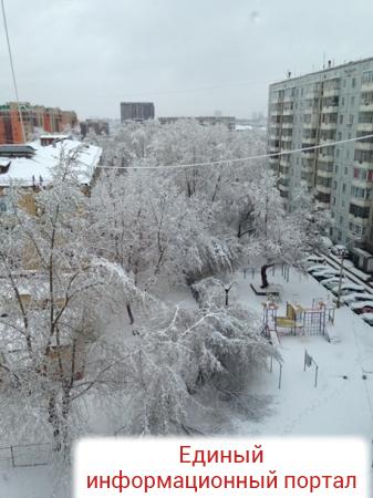 Погодная аномалия в России: Красноярск засыпало снегом