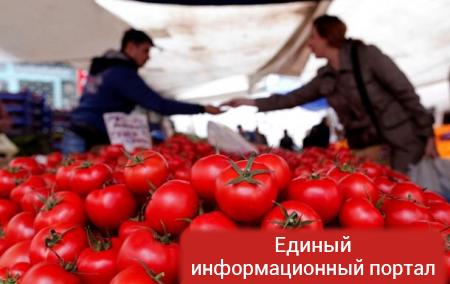В России раздавили тракторами 20 тонн турецких помидоров