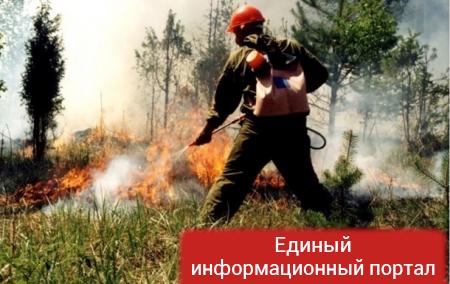 На Камчатке бушуют лесные пожары