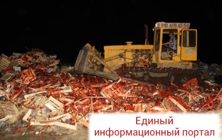 В РФ уничтожили почти 40 тонн украинской клубники