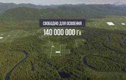 Как движется программа Как движется программа