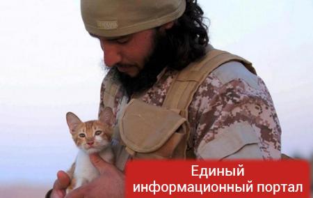 Боевики ИГИЛ взяли котят на вооружение - СМИ