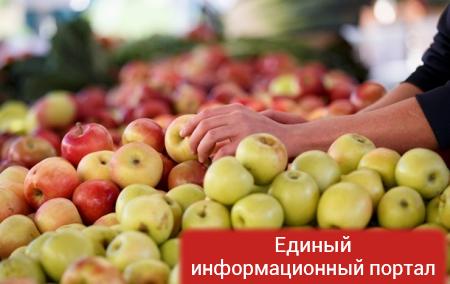 Экспорт яблок из Беларуси в РФ в пять раз превысил урожай