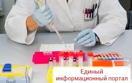 В России зафиксировано 10 случаев вируса Зика