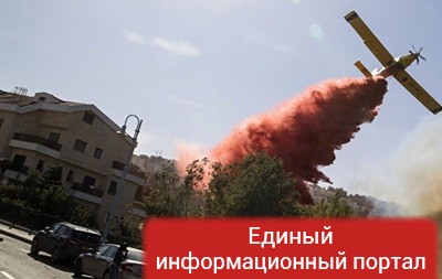 В Израиле заявили о ликвидации всех пожаров