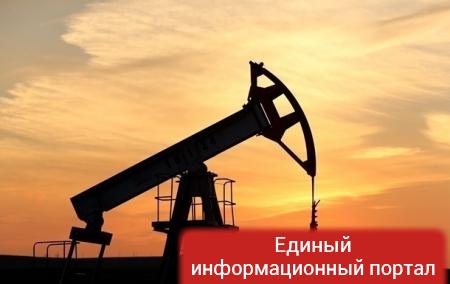 В России открыли 40 нефтегазовых месторождений