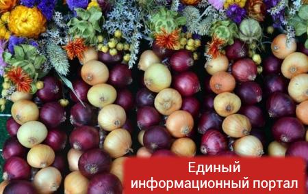 Россия частично сняла запрет на ввоз овощей из Турции