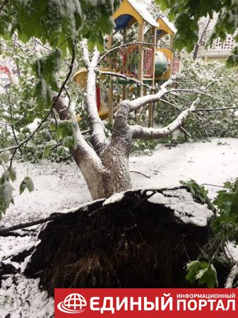 В Кишиневе из-за снегопада объявили ЧП