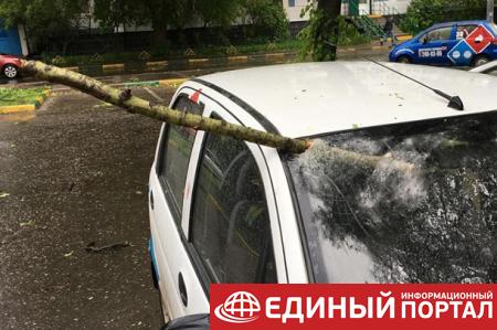 Ураган в Москве: погибли девять человек