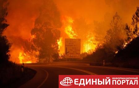 Лесные пожары в Португалии: количество жертв резко выросло