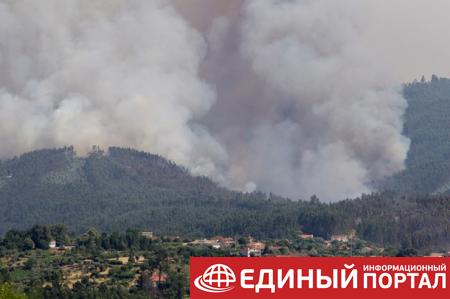 Пожары в Португалии: уже почти 60 жертв