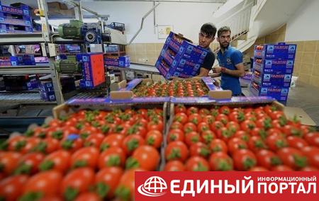 Россия сняла ограничения на ввоз продуктов из Турции