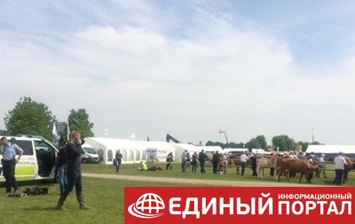 В Дaнии сбежавший бык ранил шесть человек