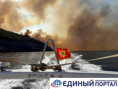 В Черногории эвакуируют туристов из-за лесных пожаров