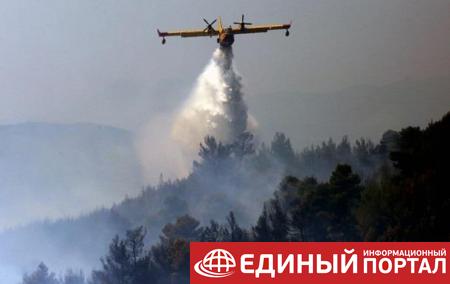 Греция просит ЕС о помощи в борьбе с лесными пожарами