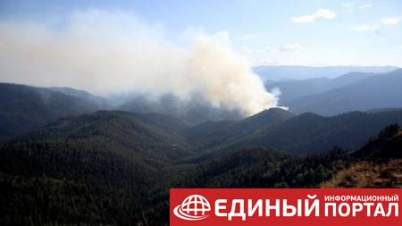 Лесные пожары в Грузии: Киев направил самолет