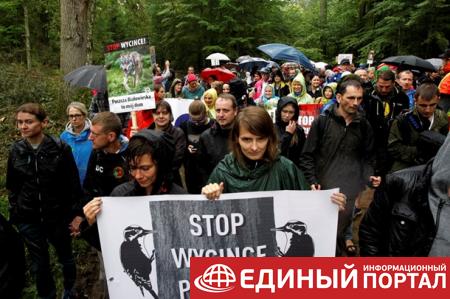 В Польше протесты против вырубки Беловежской пущи