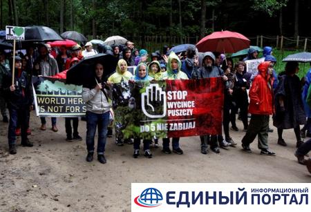 В Польше протесты против вырубки Беловежской пущи