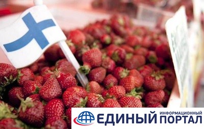 В Финляндии нашлись пропавшие сборщики ягод из Украины