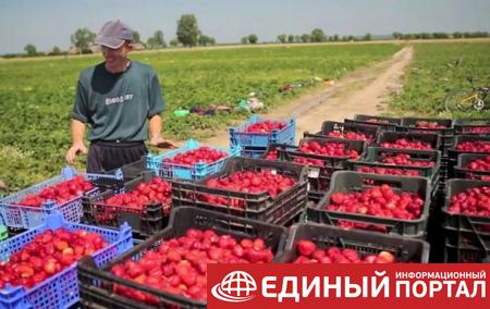 Польша хочет ввести налог на работников из Украины