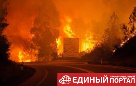 Лесные пожары в Португалии и Испании: число жертв возросло до 45