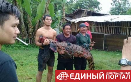 Индонезийцы истребили почти 300 крокодилов за смерть друга