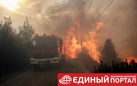 Пожары в Греции: число погибших достигло 50 человек