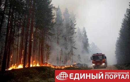 В Швеции сгорело более 25 тысяч гектаров леса