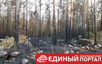 В Финляндии рекордное количество лесных пожаров