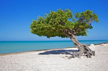 Оформление визы для отдыха на Кипре