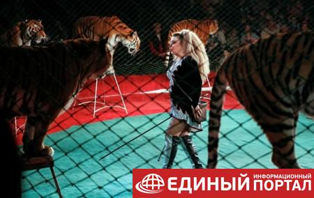 В Португалии запретили выступления диких животных в цирках