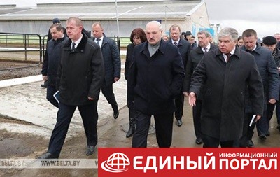 "Это же Освенцим": Лукашенко уволил губернатора после посещения коровника
