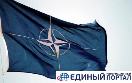 Европейцы стали меньше поддерживать НАТО – опрос