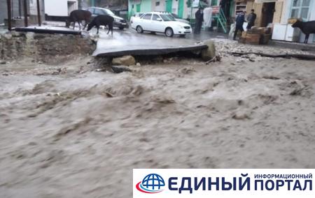 Селевой поток в России унес стадо и пять машин