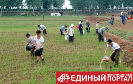 В Северной Корее голод грозит для 10 млн человек