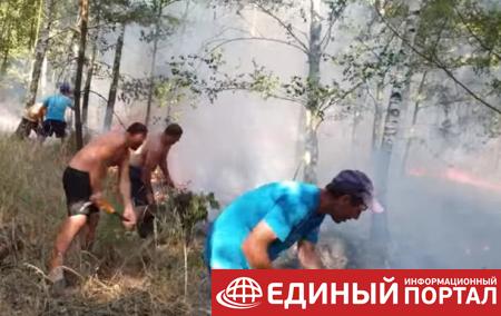Украинцы помогли потушить лесной пожар в Польше