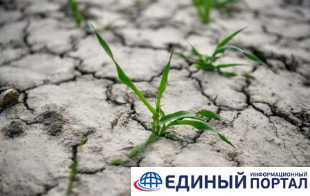 В Литве объявили режим ЧП из-за засухи