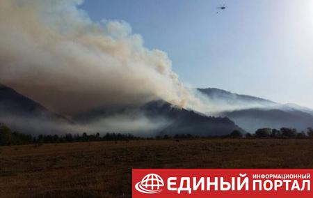 Грузию охватили лесные пожары