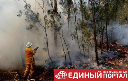 Лесные пожары в Австралии: объявлено чрезвычайное положение