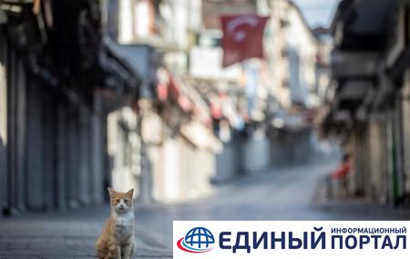 Турция вводит новые меры безопасности для туристов из-за коронавируса