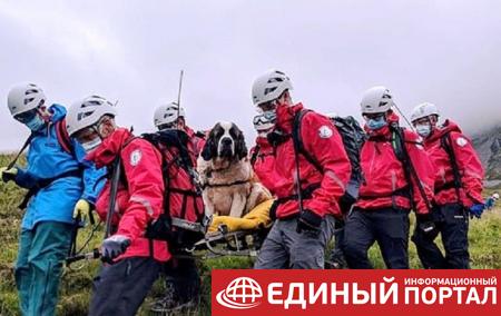 Упавшего с горы пса спасали 16 добровольцев